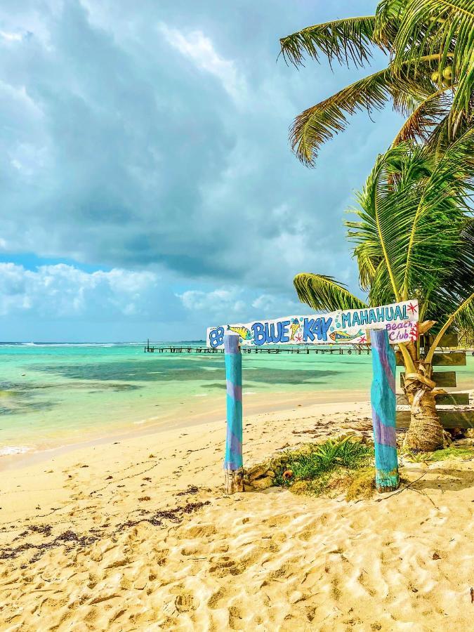 Eco Cabanas Bluekay Hotel Mahahual Exterior photo